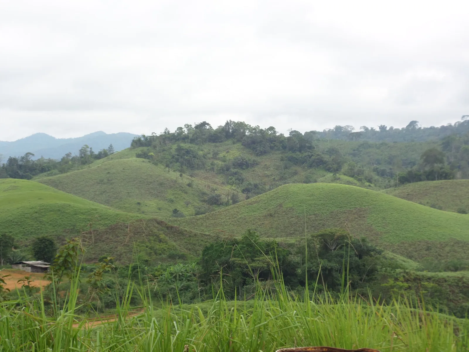 Collines vertes aux sommets boisés près de Mimongo, sous un ciel voilé, et au loin la ligne bleutée des monts du Chaillu