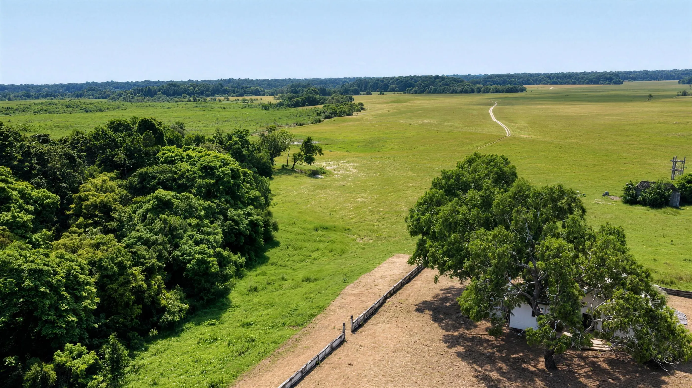 Vue aérienne de la grande savane du domaine, bordée par la forêt, avec une piste sableuse serpentant vers l'horizon