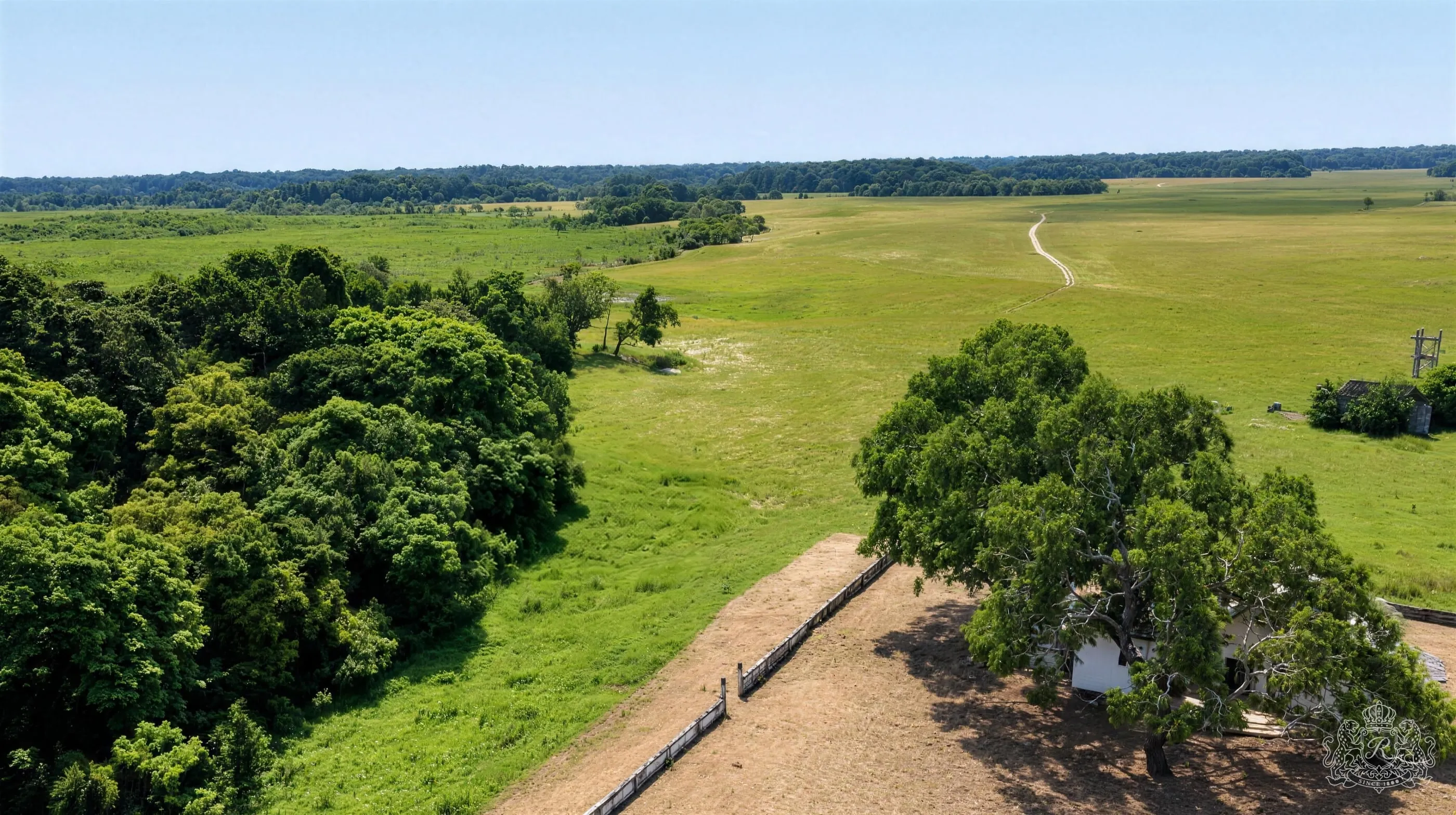 Vue aérienne de la grande savane du domaine bordée de forêt