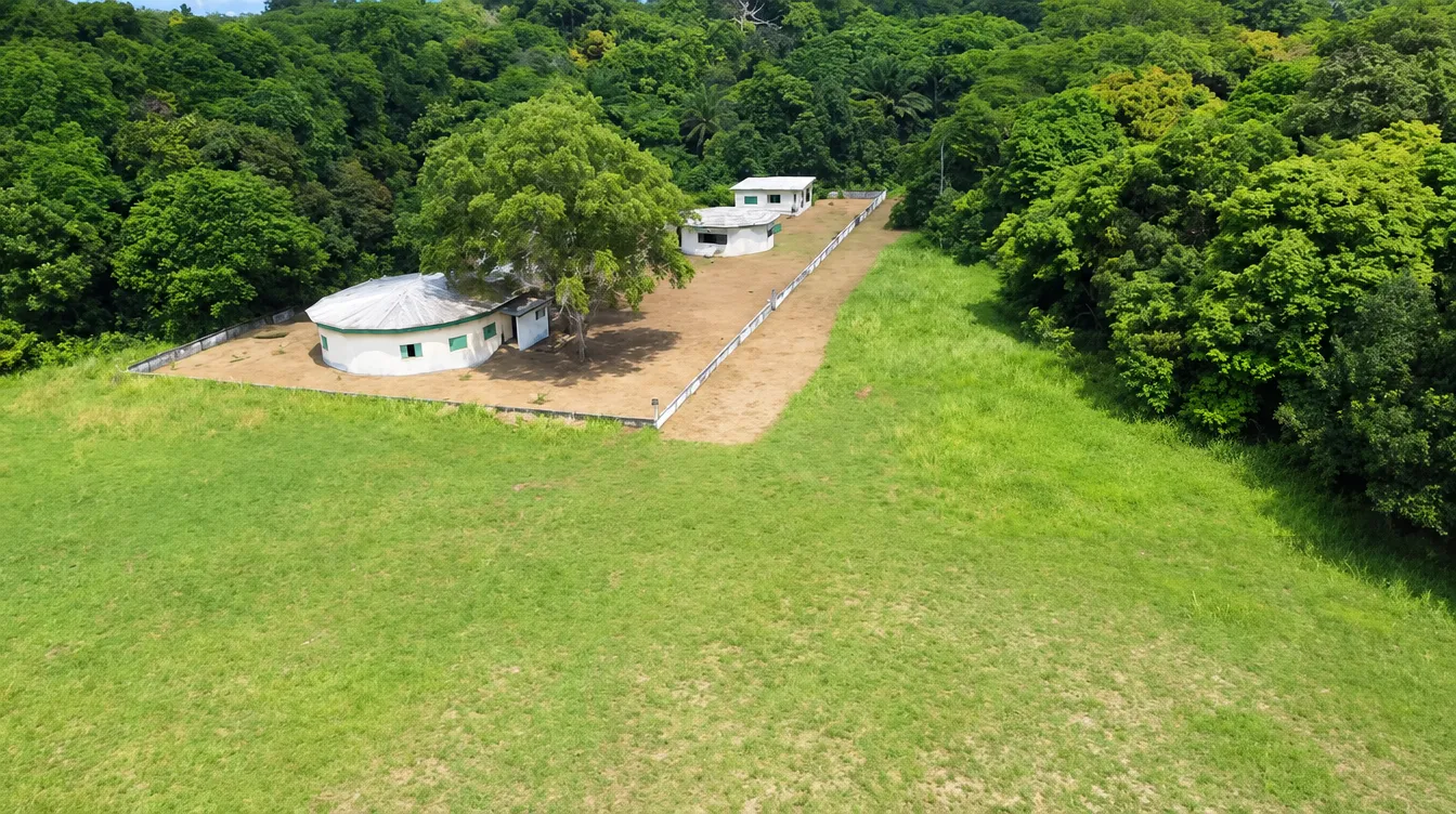 Vue aérienne des bâtiments blancs du musée royal, à la lisière de la forêt et de la savane