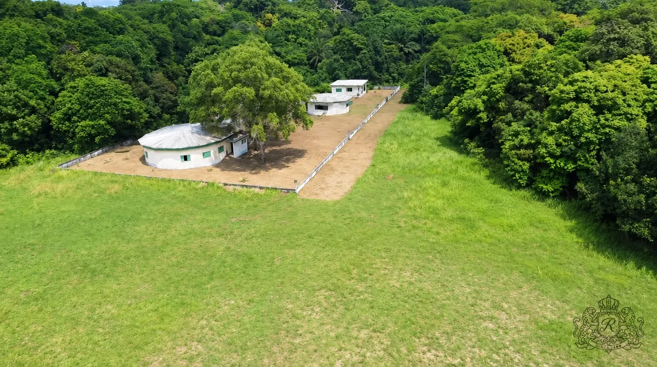 Les bâtiments blancs du musée vus du ciel, à la lisière de la forêt