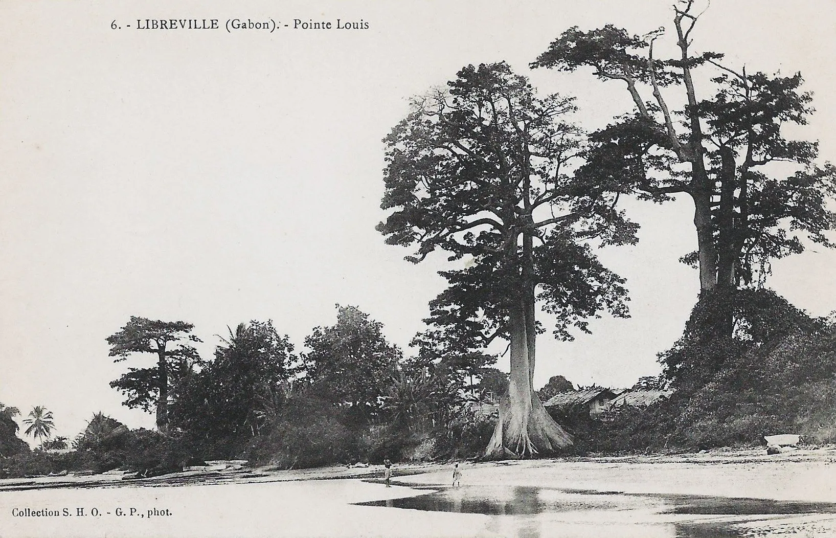 Carte postale ancienne : la pointe Louis à Libreville, grands fromagers au bord de la plage