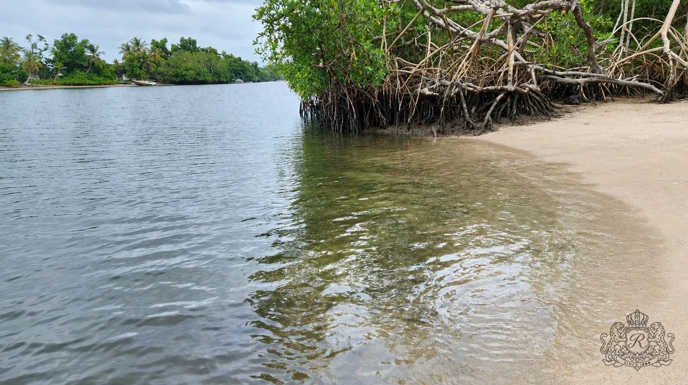 La rive de la Pointe-Denis où accostent les pirogues, avec le sentier qui monte vers le Domaine